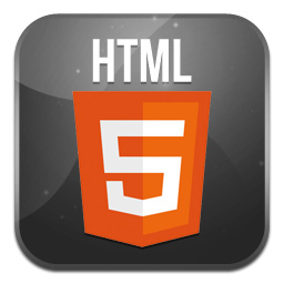 HTML5 Icon