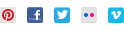 Pinterest Social Media Badge