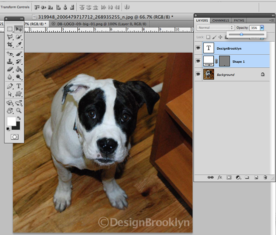 Watermarking Step 7