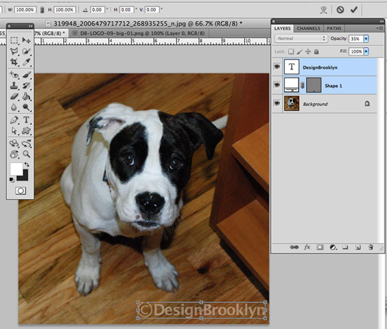 Watermarking Step 9