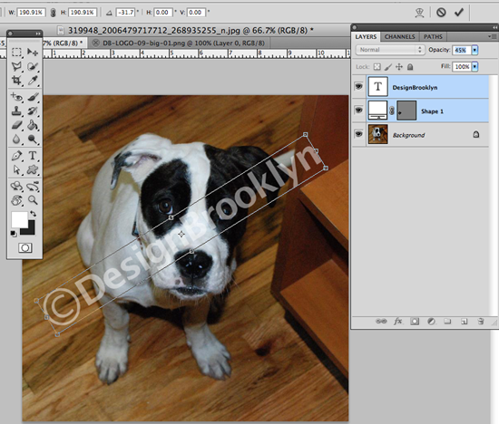 Watermarking Step 9.5