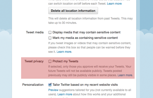 Twitter Protect Settings